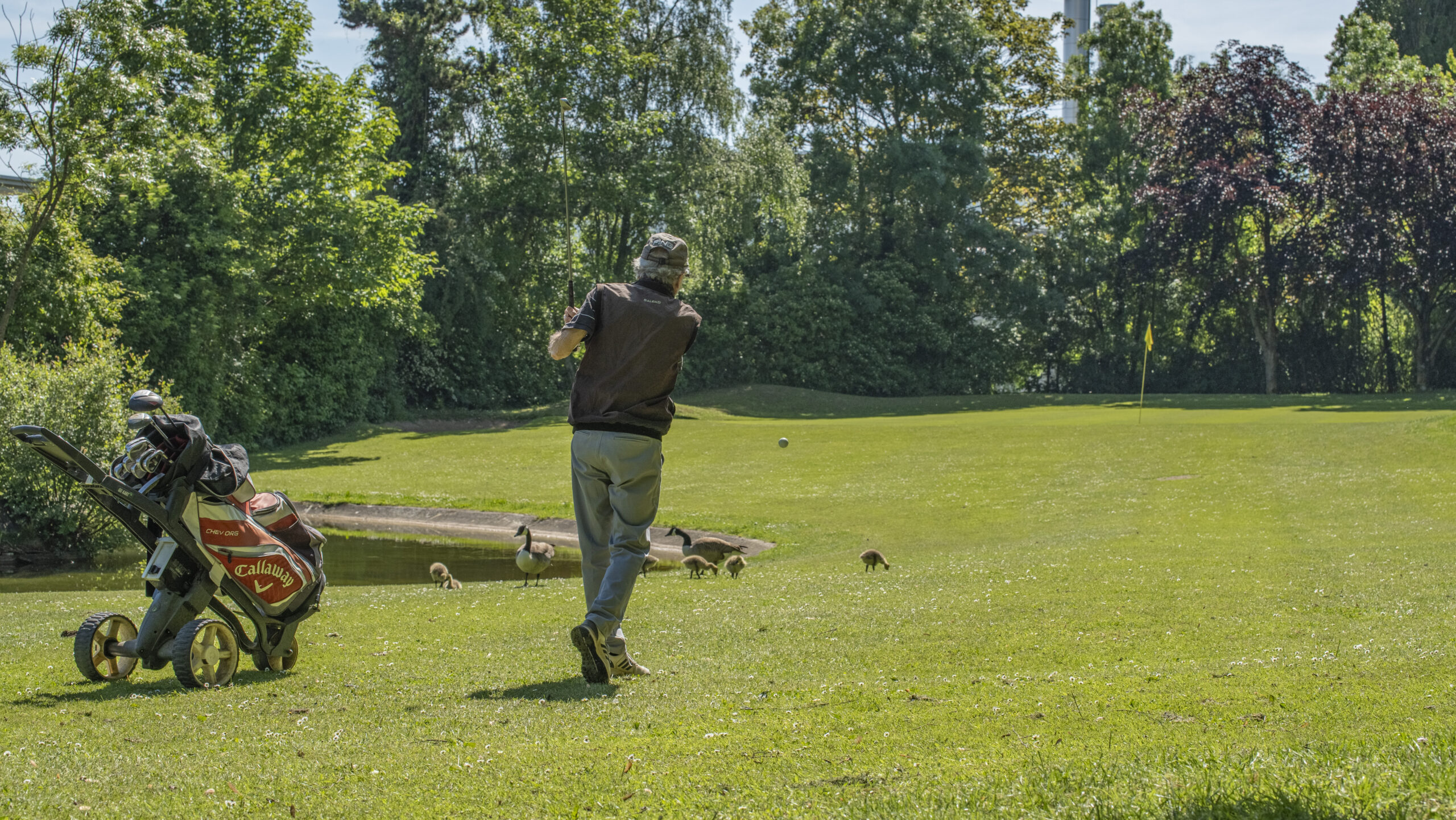 Pourquoi les golfeurs adorent les coups presque réussis ?